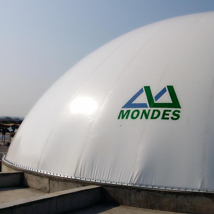 Digester-mounted Double Membrane Gas Holder
